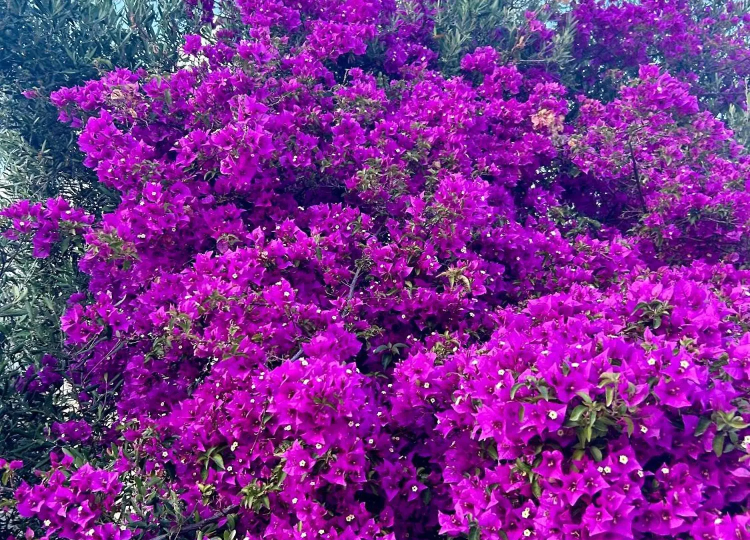 אגיוס סטפנוס Paolas Sunset יוון